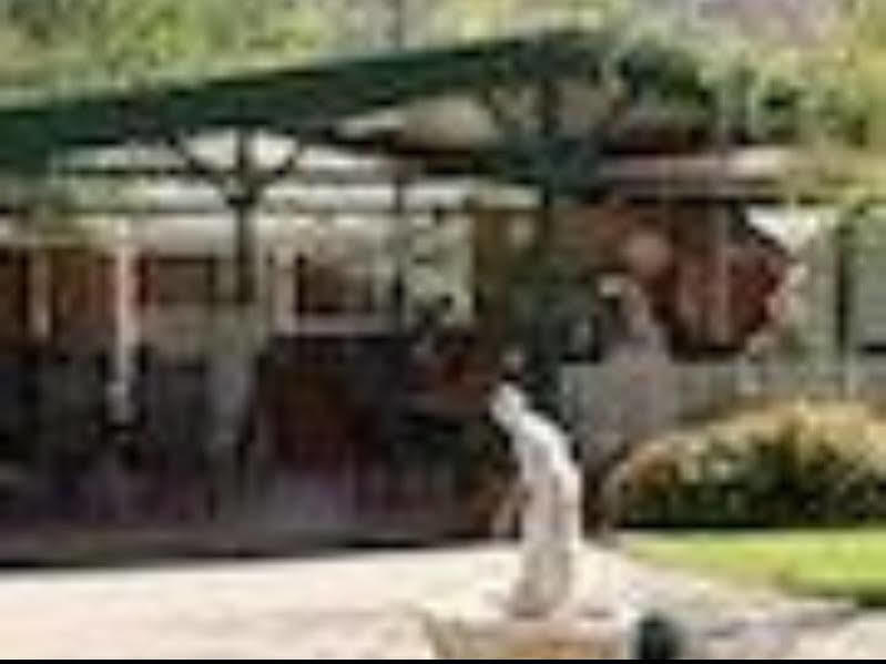 The Birch House - Silver Birches Accommodation Брайт Екстериор снимка